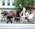 Open High Resolution file for DSCF1995.GIF