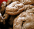 Open High Resolution file for PICT1673.GIF
