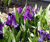 Open High Resolution file for PICT1690.GIF