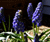 Open High Resolution file for PICT1691.GIF