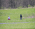 Open High Resolution file for PICT1695.GIF