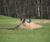 Open High Resolution file for PICT1721.GIF