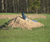 Open High Resolution file for PICT1722.GIF