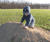 Open High Resolution file for PICT1724.GIF