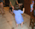 Open High Resolution file for PICT0808.GIF