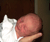 Open High Resolution file for PICT1995.GIF