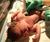 Open High Resolution file for PICT2445.GIF