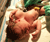 Open High Resolution file for PICT2447.GIF