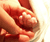 Open High Resolution file for PICT2449.GIF