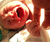 Open High Resolution file for PICT2450.GIF
