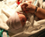 Open High Resolution file for PICT2465.GIF