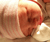Open High Resolution file for PICT2466.GIF