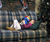 Open High Resolution file for PICT4371.GIF