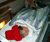 Open High Resolution file for PICT2576.GIF