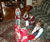 Open High Resolution file for PICT2641.GIF