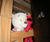 Open High Resolution file for PICT4808.GIF