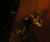 Open High Resolution file for PICT4833.GIF
