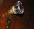 Open High Resolution file for PICT4840.GIF