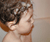 Open High Resolution file for PICT4883.GIF