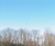 Open High Resolution file for PICT5490.GIF