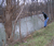 Open High Resolution file for PICT5517.GIF