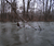 Open High Resolution file for PICT5537.GIF