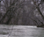 Open High Resolution file for PICT5540.GIF