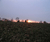 Open High Resolution file for PICT5542.GIF