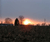 Open High Resolution file for PICT5545.GIF