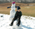 Open High Resolution file for PICT3471.GIF