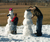 Open High Resolution file for PICT3475.GIF