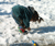 Open High Resolution file for PICT3478.GIF