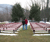 Open High Resolution file for PICT3504.GIF