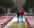 Open High Resolution file for PICT3505.GIF