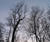 Open High Resolution file for PICT3511.GIF