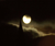 Open High Resolution file for PICT3933.GIF