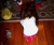 Open High Resolution file for PICT3967.GIF