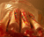 Open High Resolution file for PICT3981.GIF