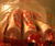 Open High Resolution file for PICT3982.GIF