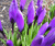 Open High Resolution file for PICT6120.GIF