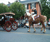 Open High Resolution file for PICT5347.GIF