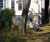 Open High Resolution file for DSC_0065.GIF