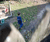 Open High Resolution file for DSC_0077.GIF