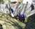 Open High Resolution file for DSC_0095.GIF