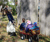 Open High Resolution file for DSC_0097.GIF