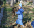 Open High Resolution file for DSC_0109.GIF