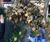 Open High Resolution file for DSC_0111.GIF