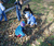 Open High Resolution file for DSC_0125.GIF