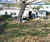 Open High Resolution file for DSC_0130.GIF