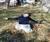 Open High Resolution file for DSC_0131.GIF